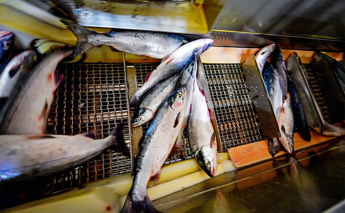 Юрий Смитюк / ТАСС