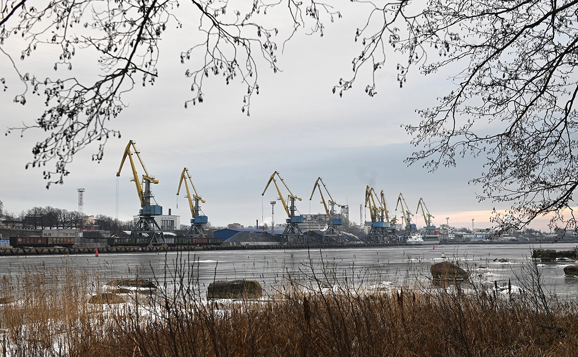 Екатерина Чеснокова / РИА Новости