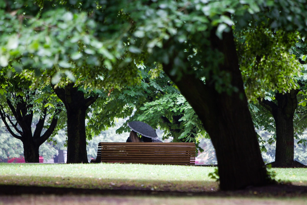 Александр Подгорчук