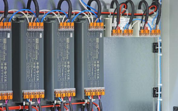 Фото: Shutterstock