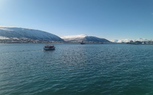 Фото: pinro.vniro.ru