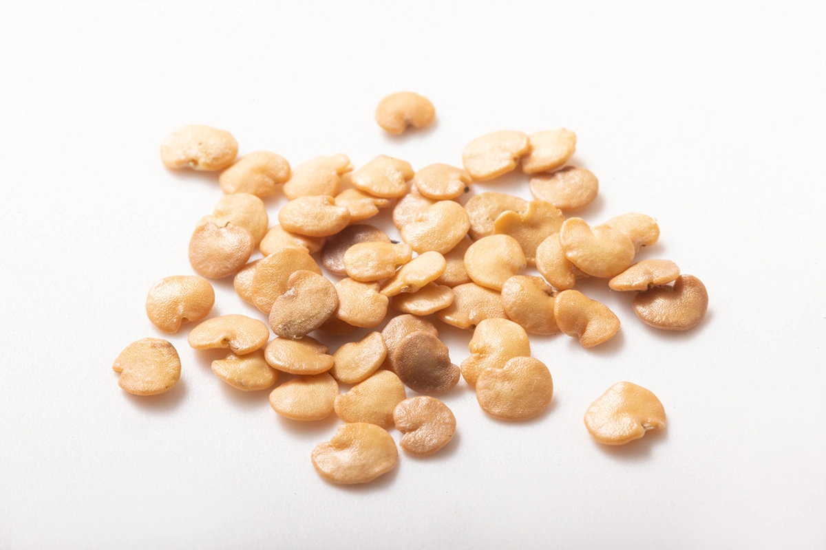 Выбирайте семена баклажанов с высоким процентом всхожести