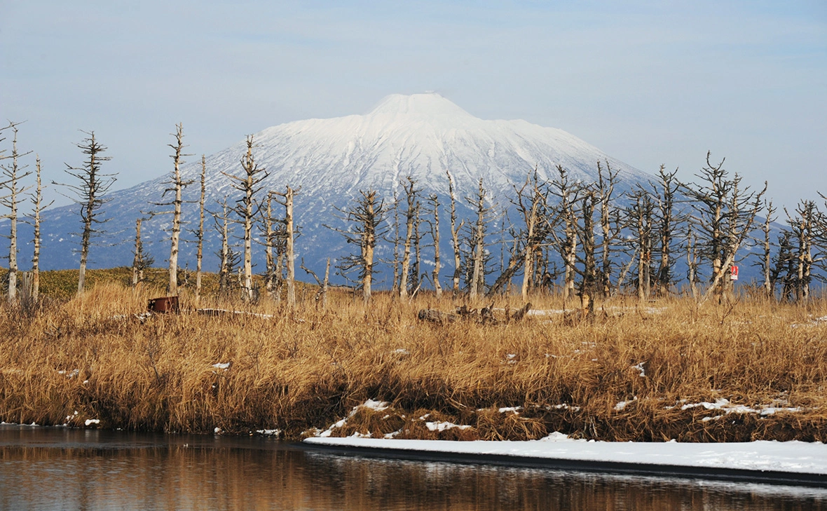 Андрей Зима / РИА Новости