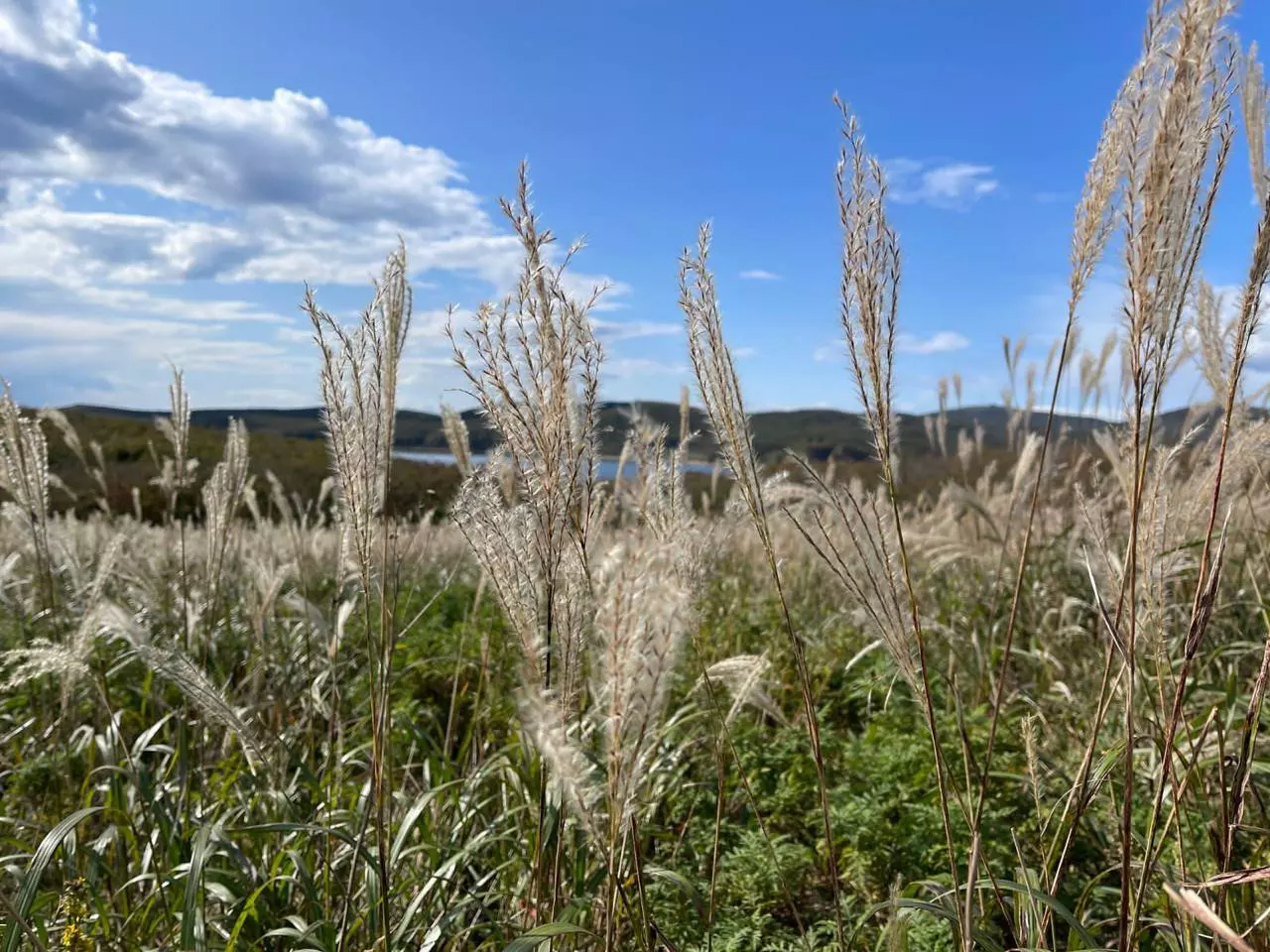 РБК Приморье