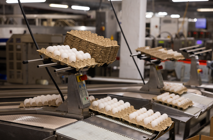 АО «Птицефабрика «Комсомольская» 