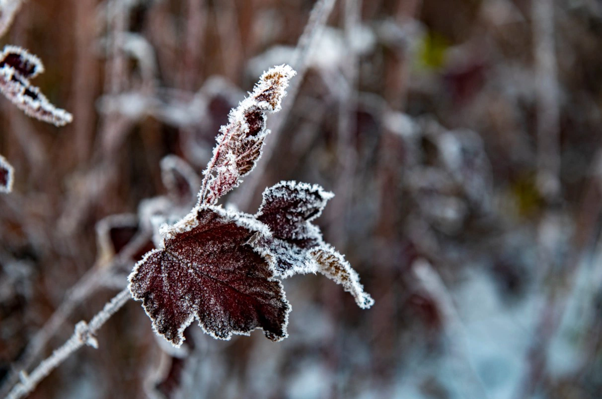Сергей Русанов / URA.RU
