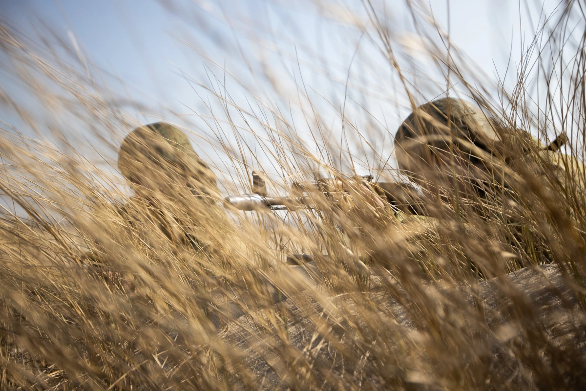 Александр Подгорчук