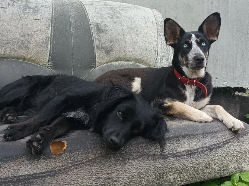 РБК Приморье