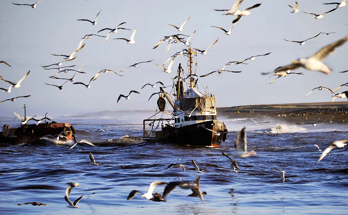 Александр Петров / ТАСС