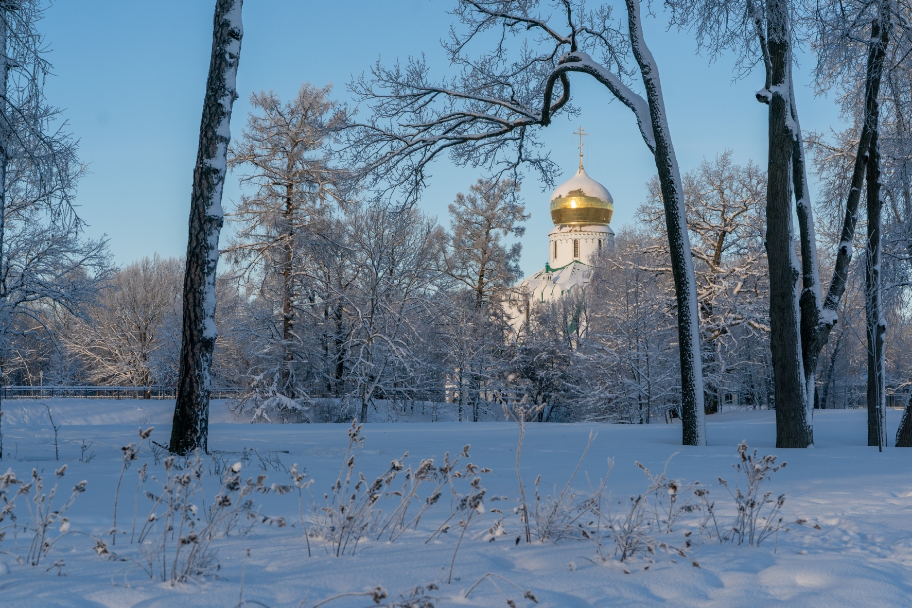 Фото: PhotoXPress.ru