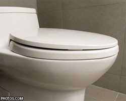 В Москве разработана программа "развития туалетной отрасли"