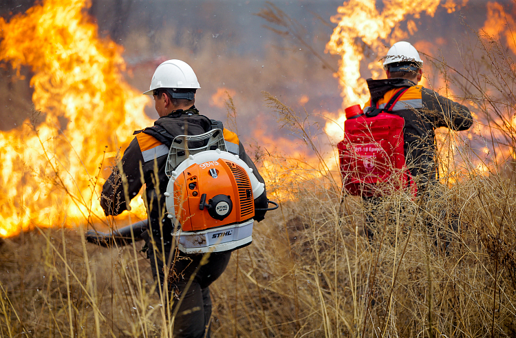 Правительство Приморского края