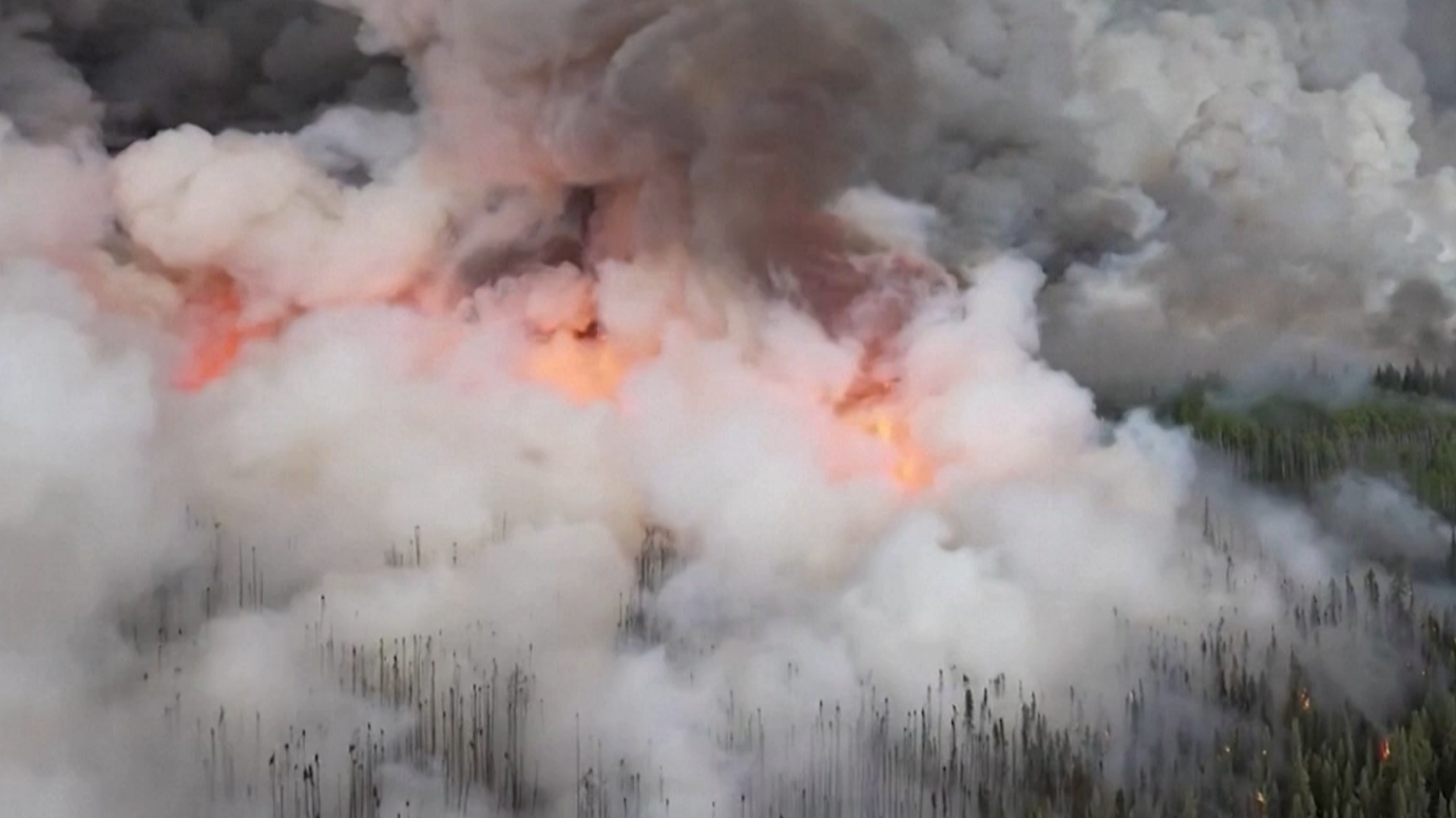 Зеленский предложил Канаде помощь в тушении лесных пожаров
