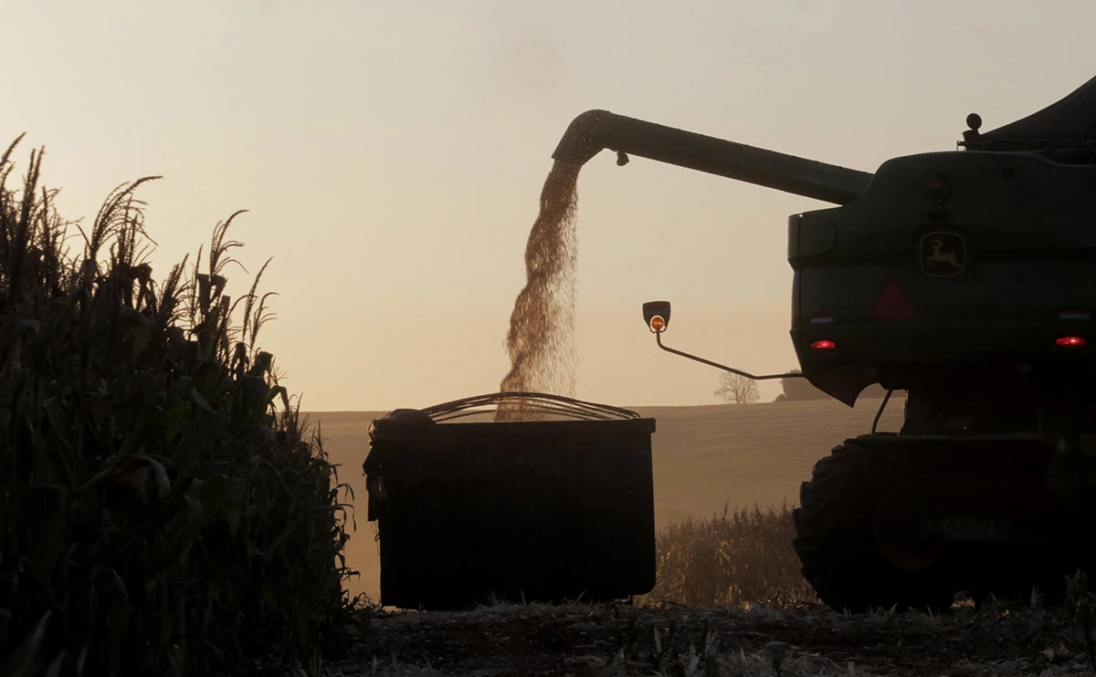  Dirceu Portugal / Keystone Press Agency / Global Look Press