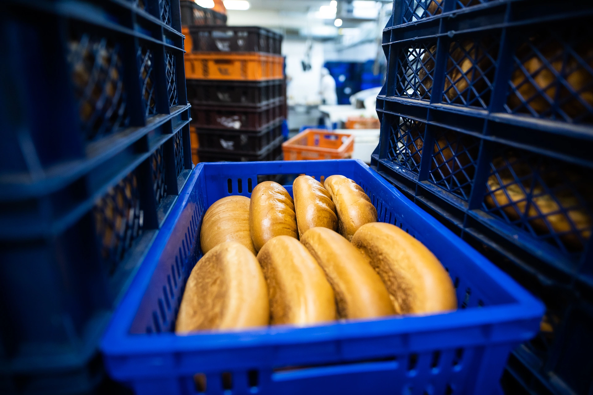 Александр Подгорчук