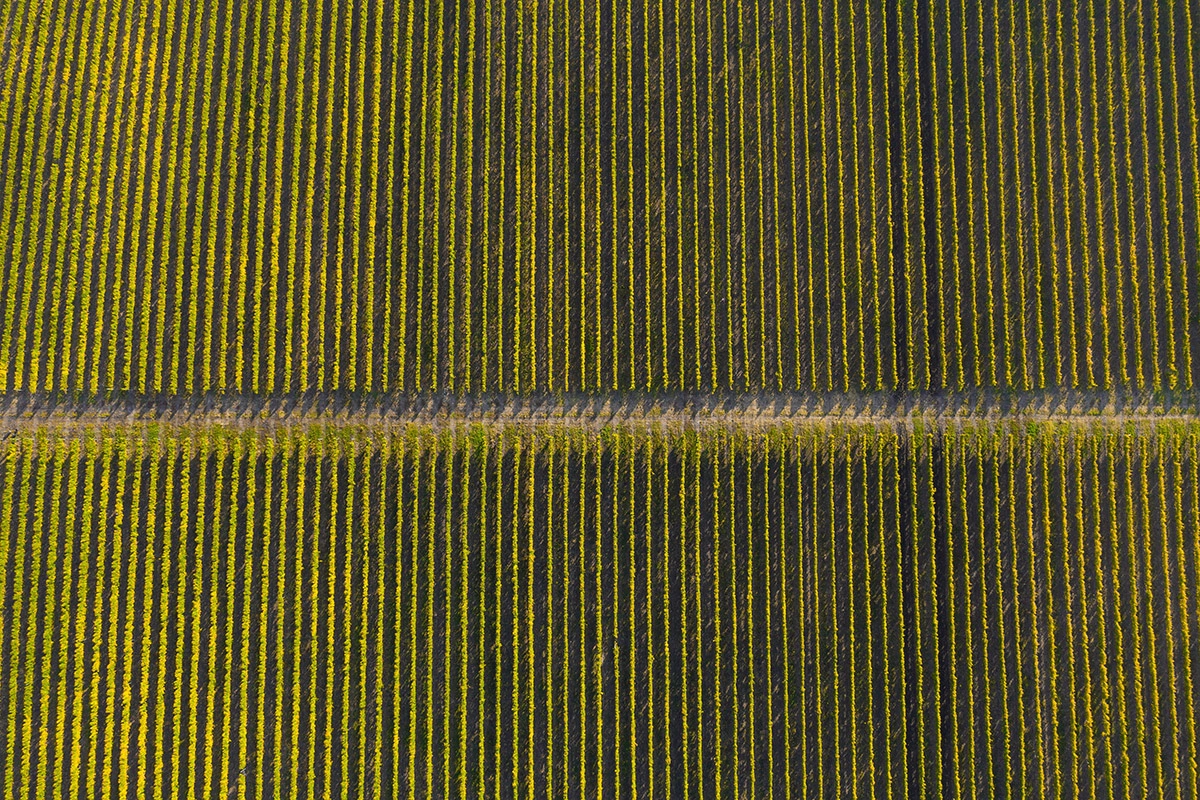 Вина категории Vin de France относят к так называемым деклассированным винам, которые могут изготавливаться без соблюдения порой достаточно строгих правил аппелласьонов
