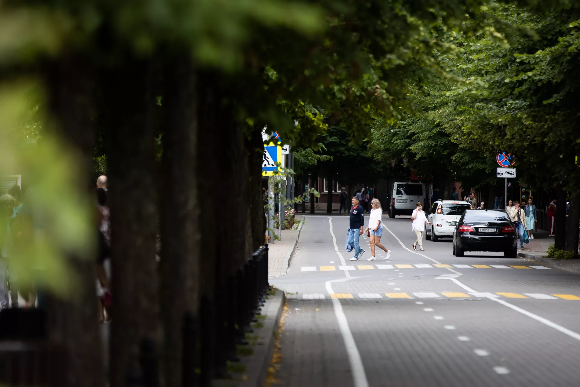 Александр Подгорчук