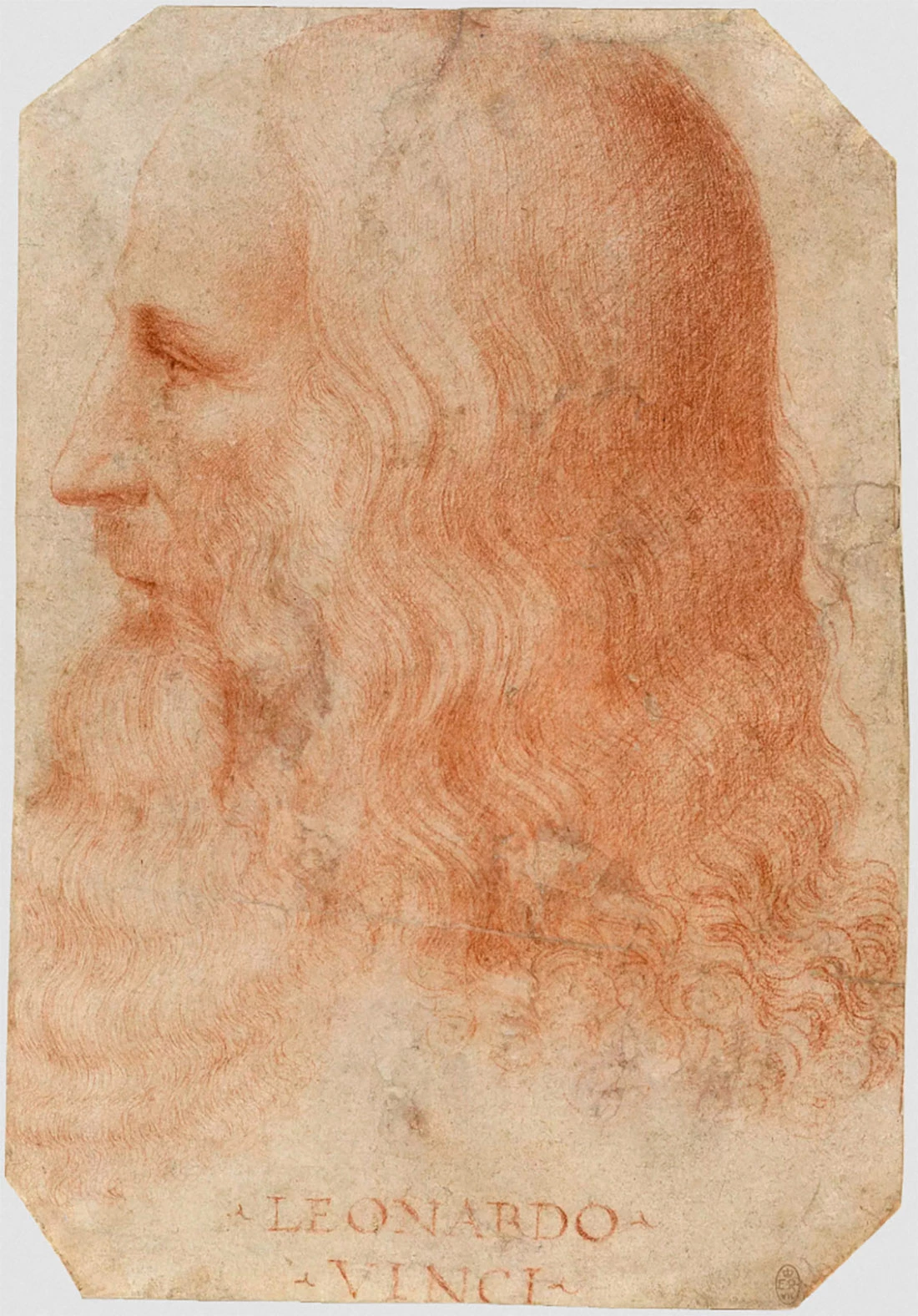<p>Портрет Леонардо да Винчи</p>