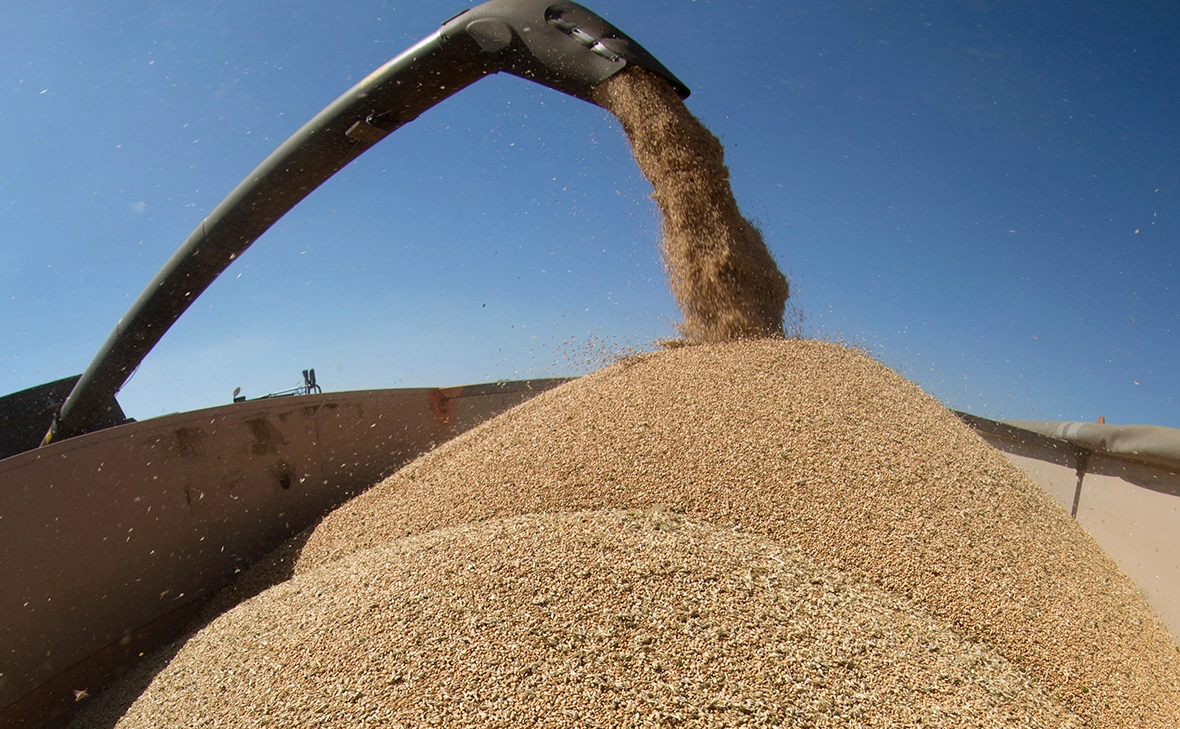 Николай Гынгазов / Global Look Press