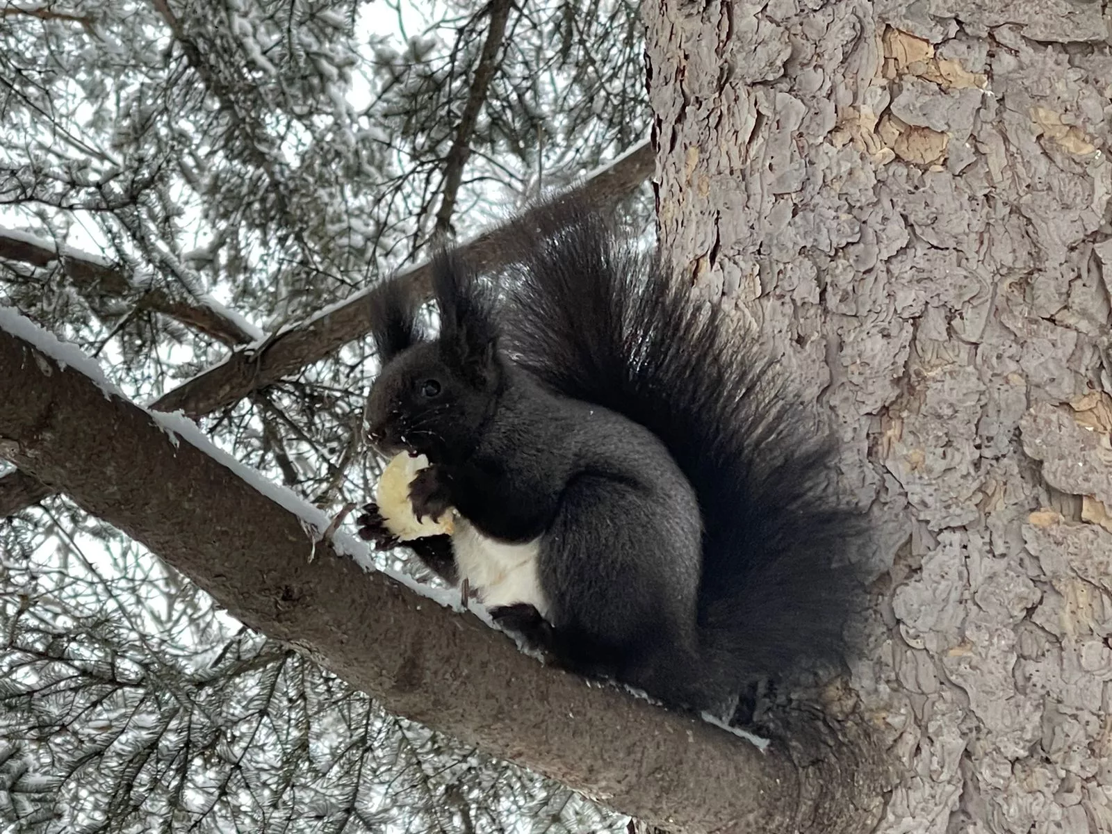 РБК Приморье