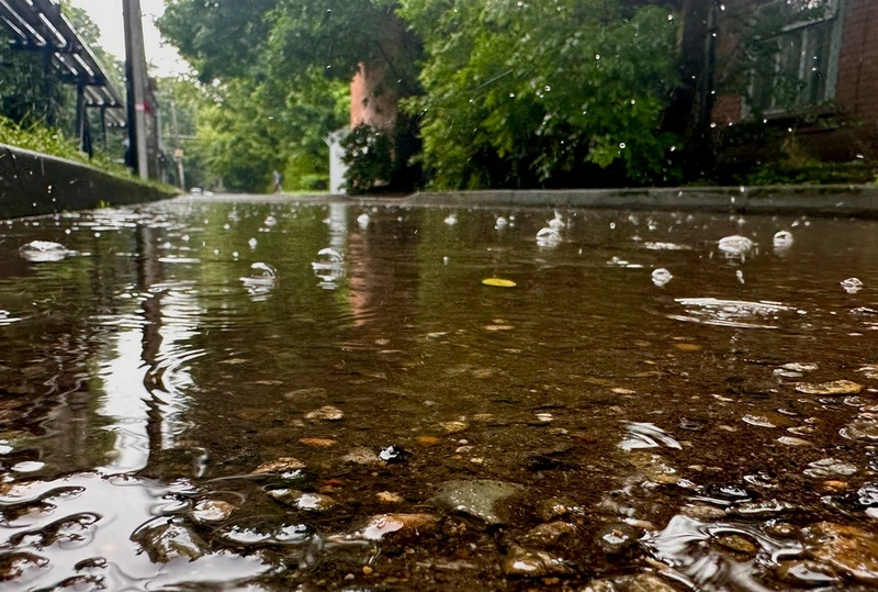 Анастасия Батаршинова, РБК Краснодар