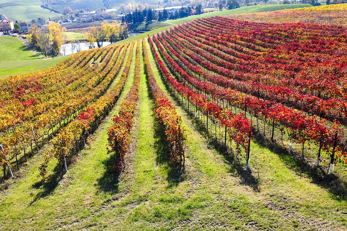 francesco de marco / Shutterstock / FOTODOM