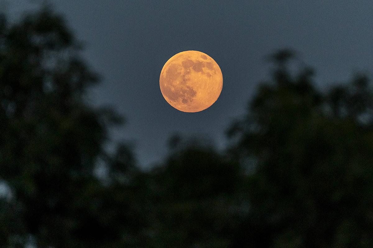 «Бобровая луна» Лимассол, Кипр, 5 ноября 2025