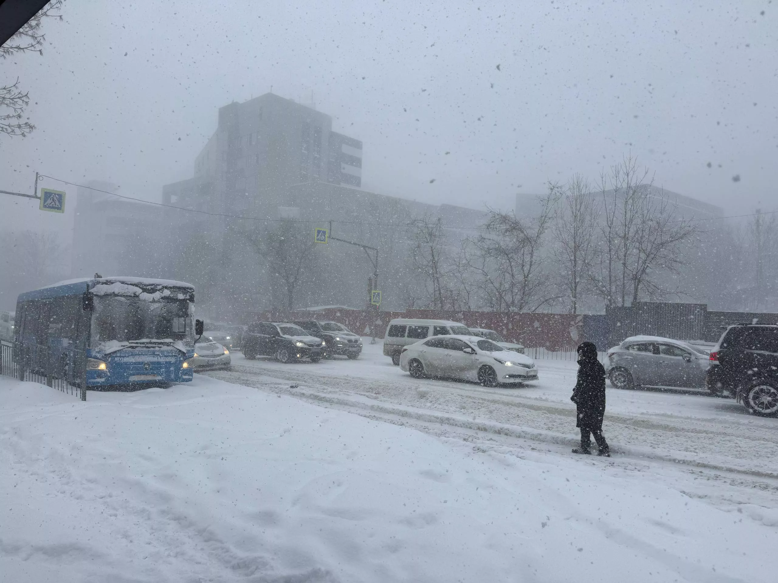 РБК Приморье