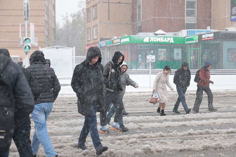 Михаил Гребенщиков / РБК
