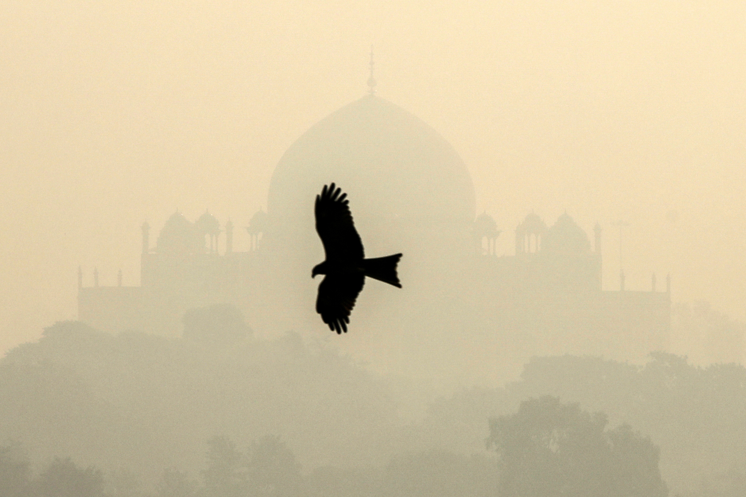 По данным исследования медицинского журнала The Lancet, из-за болезней, вызванных загрязнением воздуха, каждый год умирают более 1 млн жителей Индии
