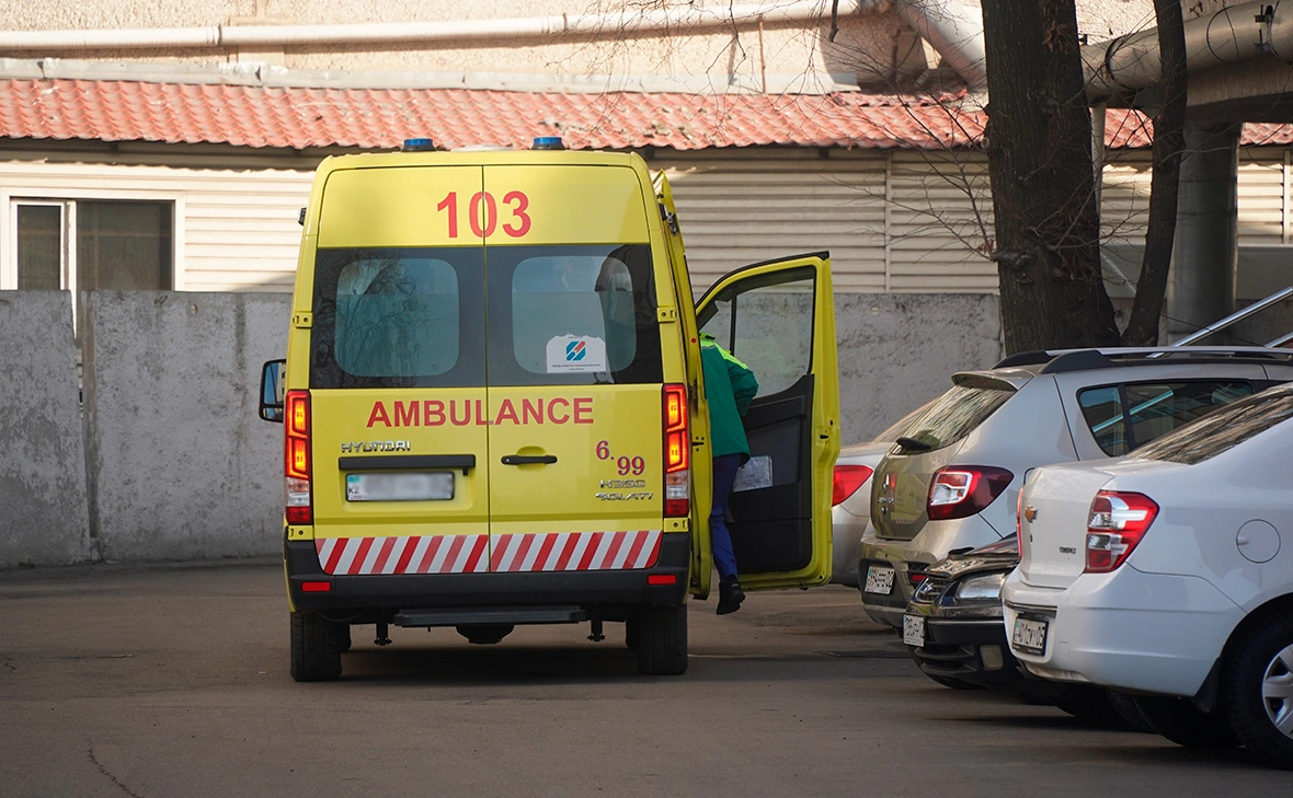 Владимир Третьяков / Shutterstock