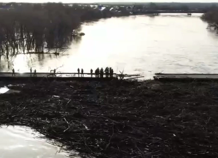 Скрин: инфоцентр Тюменской области