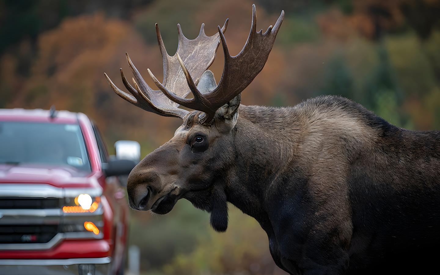 Фото: Image hub 45 / Shutterstock / FOTODOM