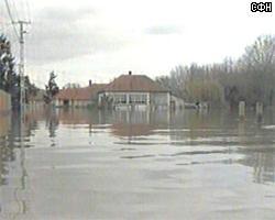 В Алтайском крае затоплены 463 дома
