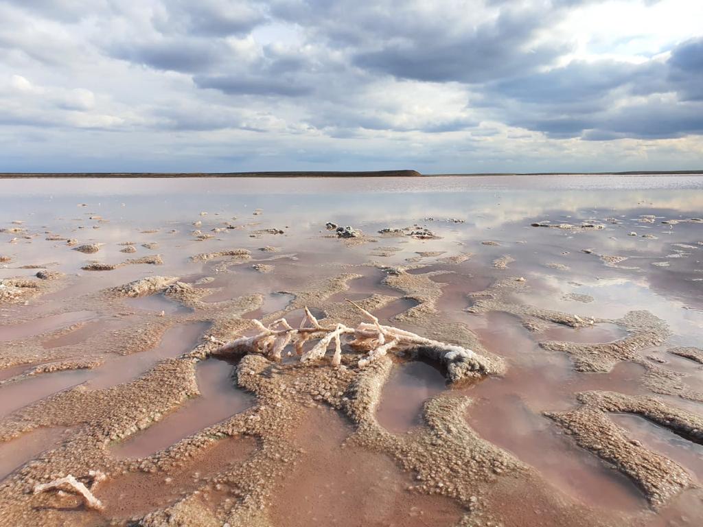 Фото:Ольга Захарова, АСИ