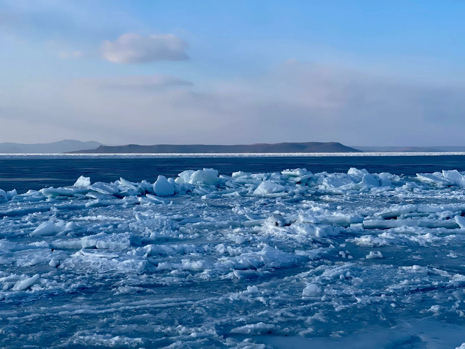 РБК Приморье