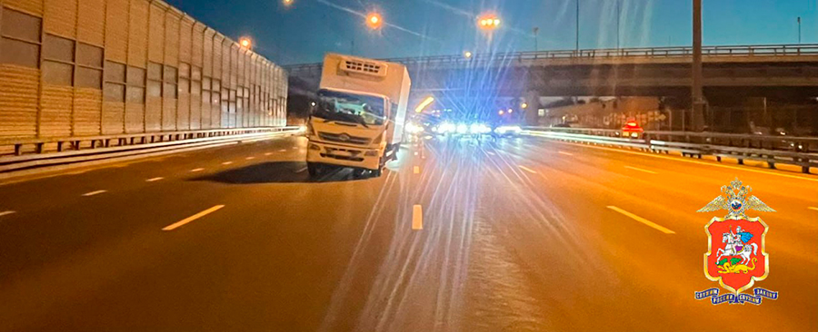 Фото: ГУ МВД России по Московской области