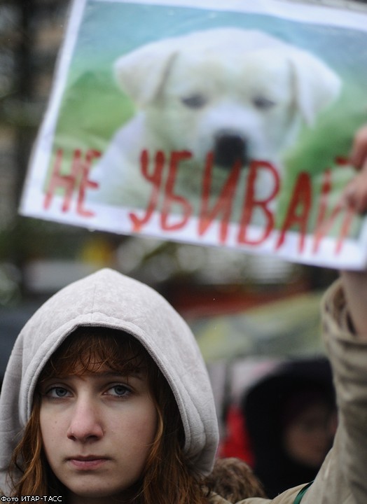 Митинг против живодеров в Москве собрал сотни человек