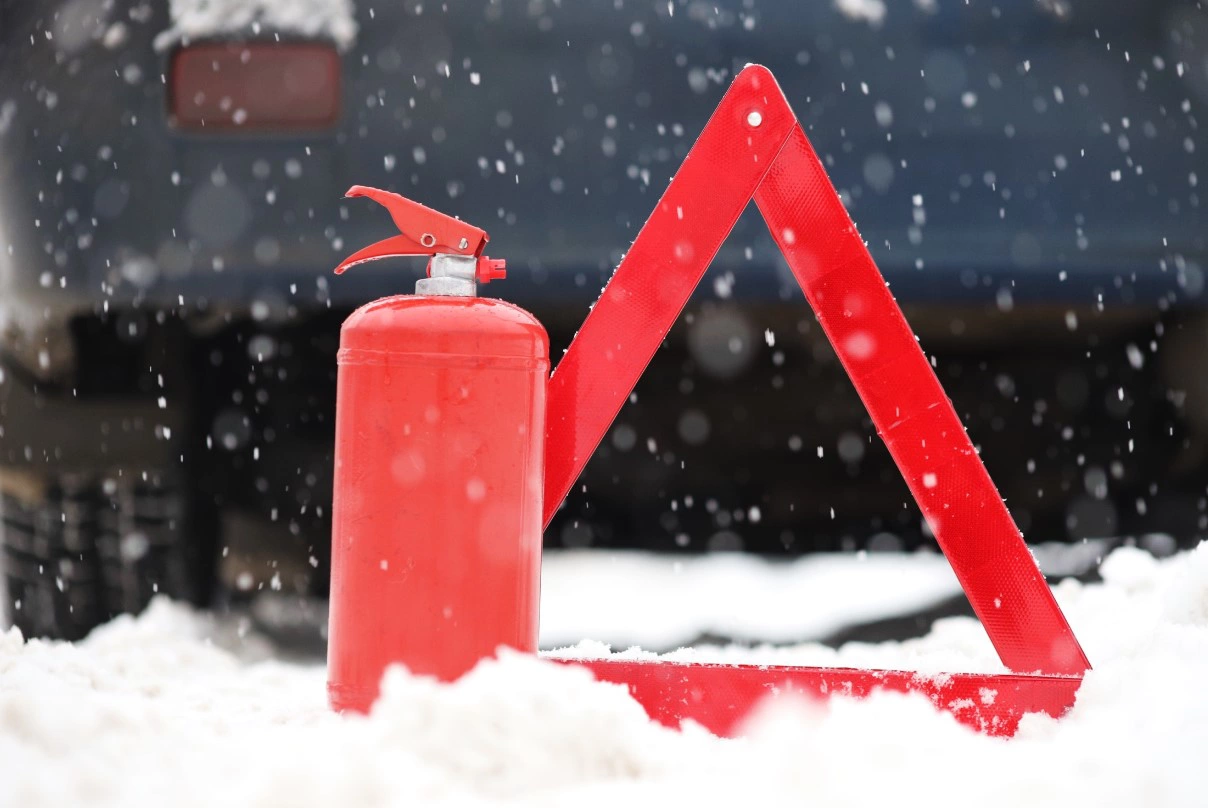 Екатерина Сычкова / РИА URA.RU