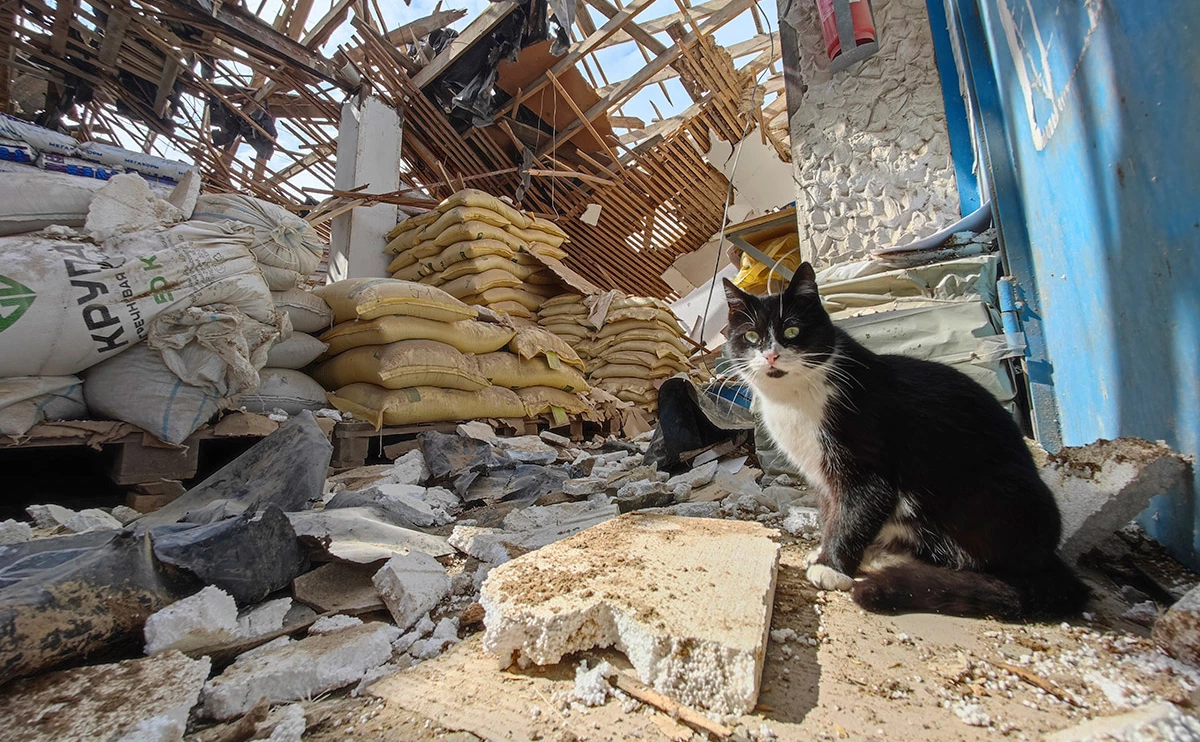 Михаил Гладчук / Крымская газета / ТАСС