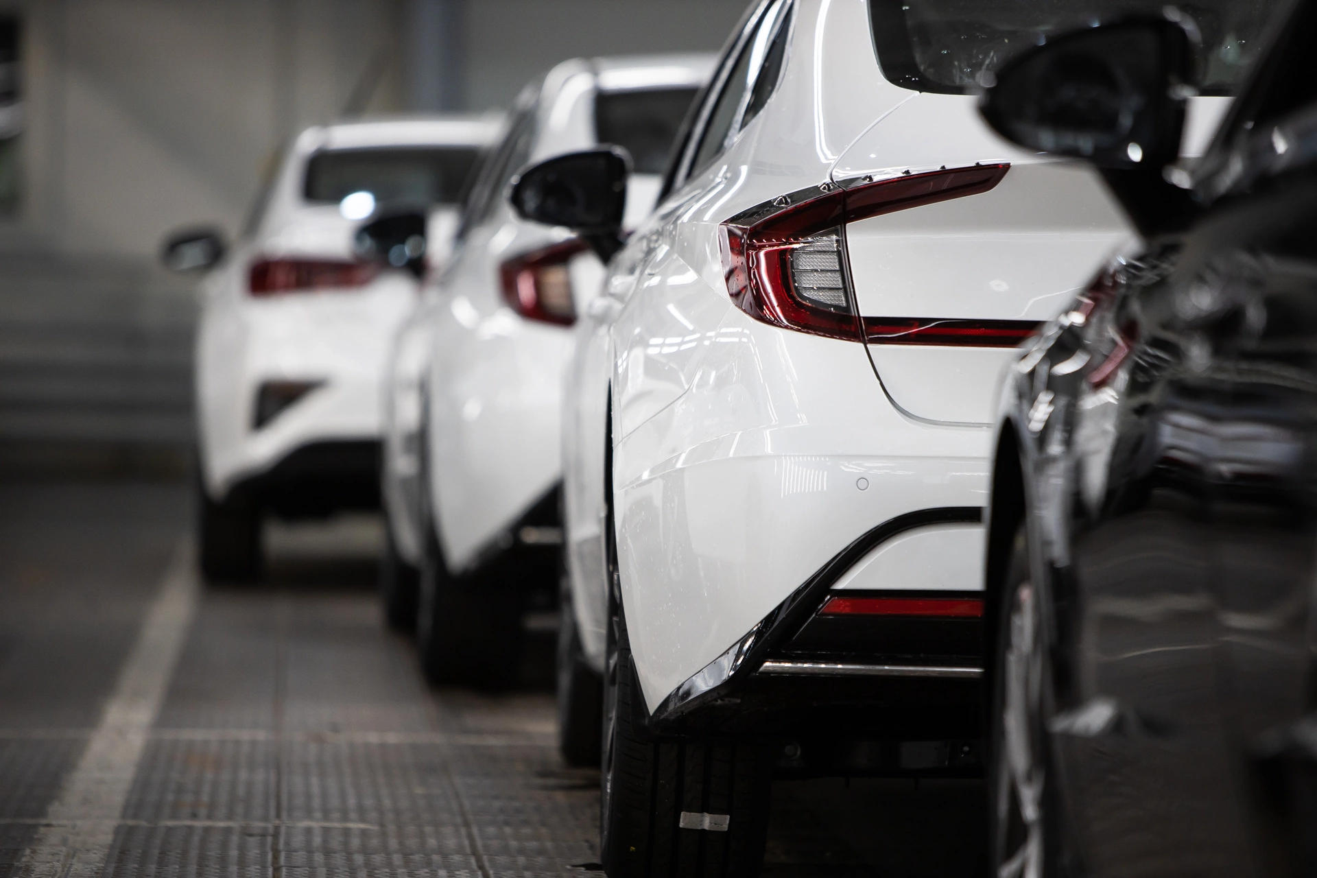 Александр Подгорчук