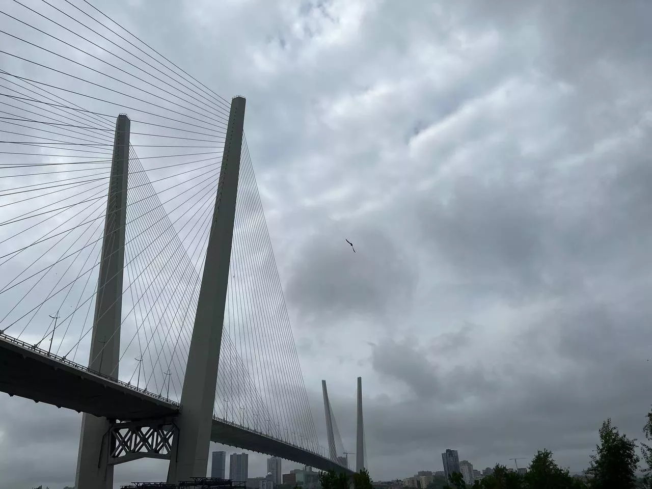 РБК Приморье