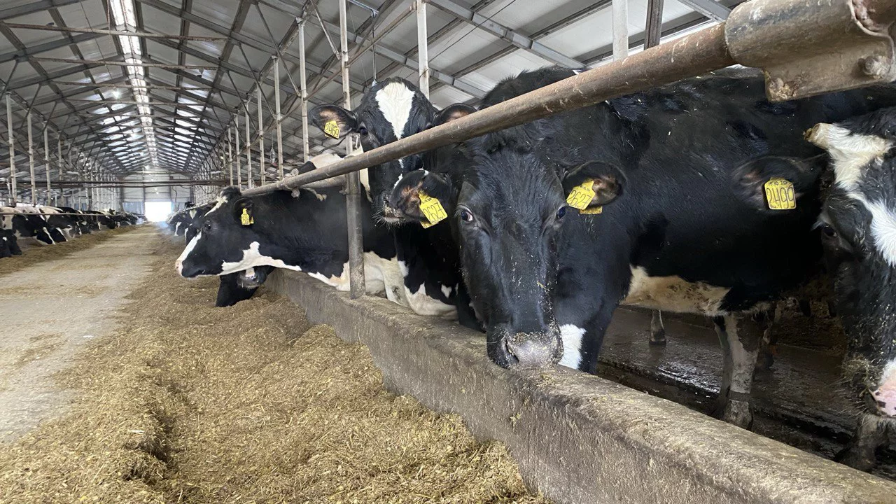 Надежда Будрина