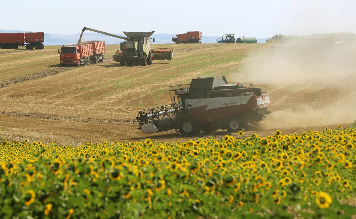 Николай Гынгазов / Global Look Press