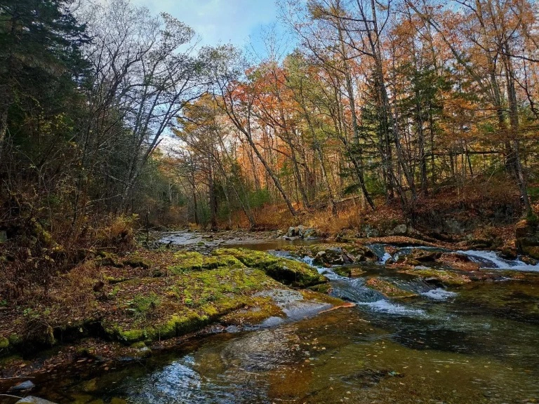 РБК Приморье