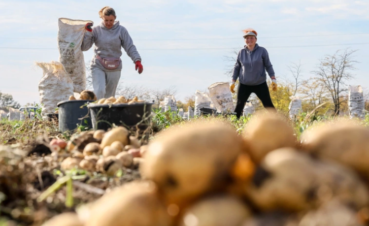 Фото: Сергей Мальгавко / ТАСС