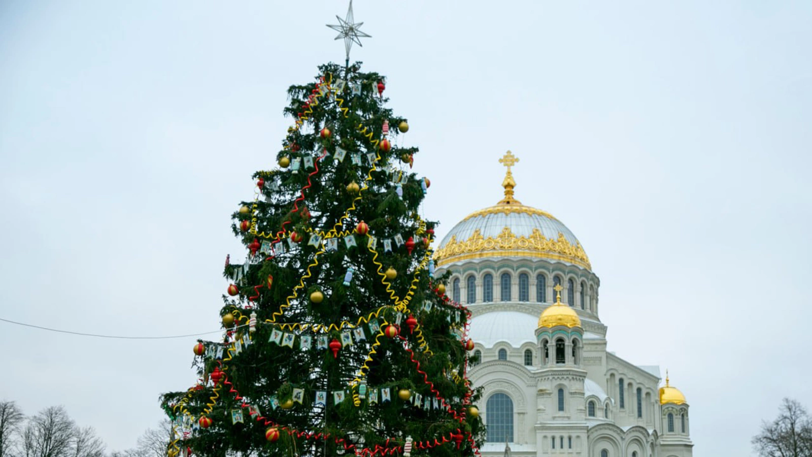 Новогодняя ель, установленная на Якорной площади в Кронштадте