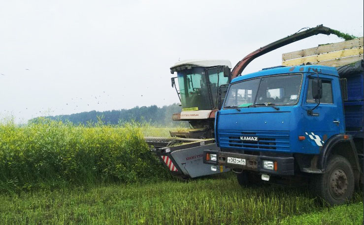 За последние полгода девять из десяти заявлений на предоставление субсидий было подано сельхозпроизводителями Новосибирской области в электронном виде