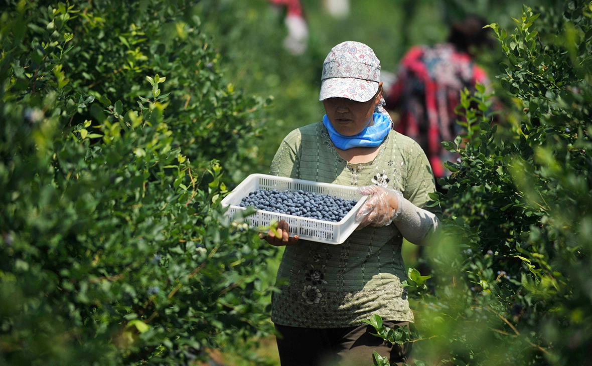 Wang Liqun / Xinhua / Global Look Press