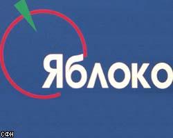 ЦИК проверит предвыборную агитацию партии "Яблоко"